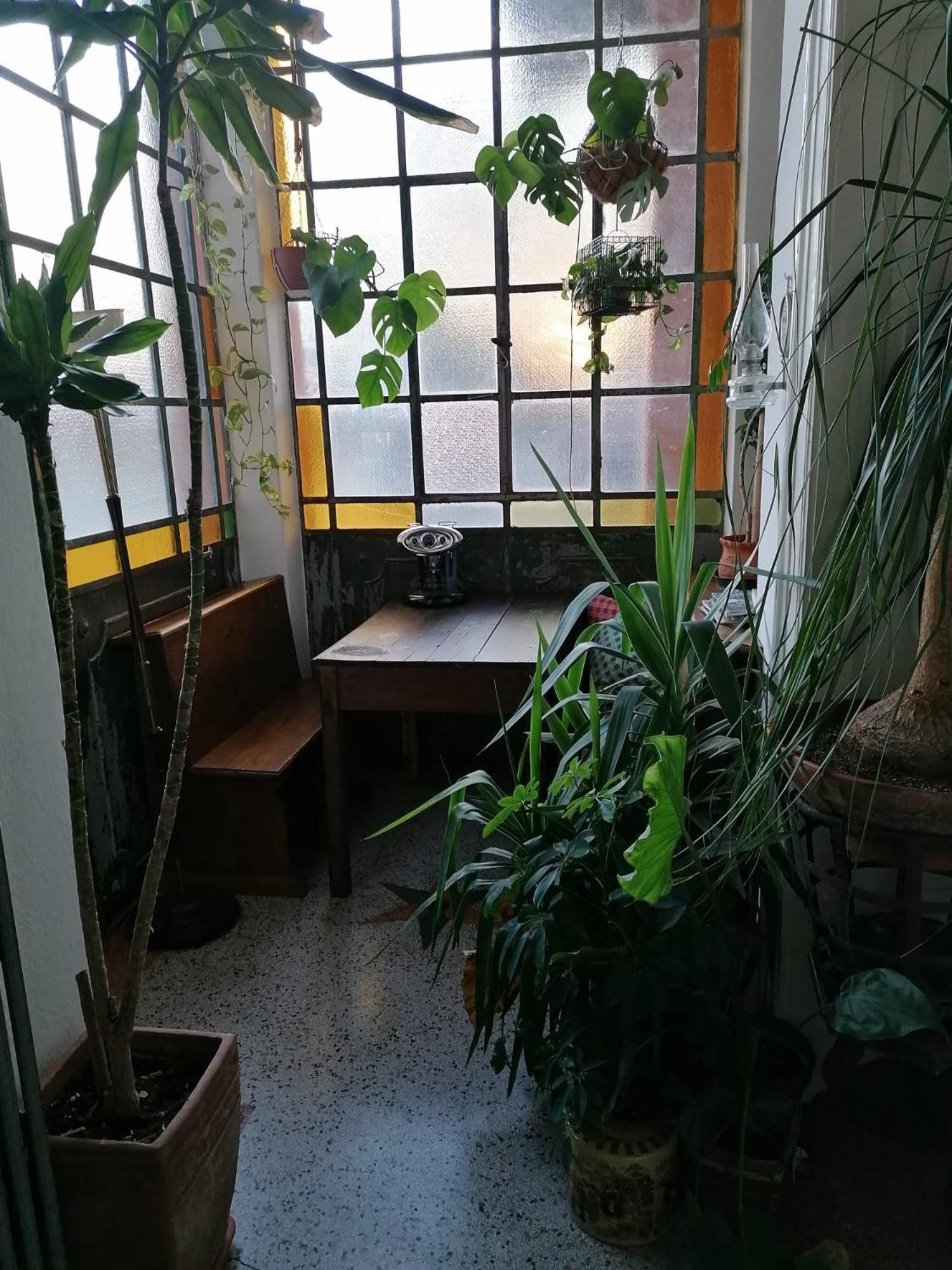 The Liberty Terrace Bed & Breakfast Udine Dış mekan fotoğraf